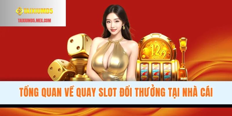 Tổng quan về quay slot đổi thưởng tại nhà cái Tài Xỉu MD5